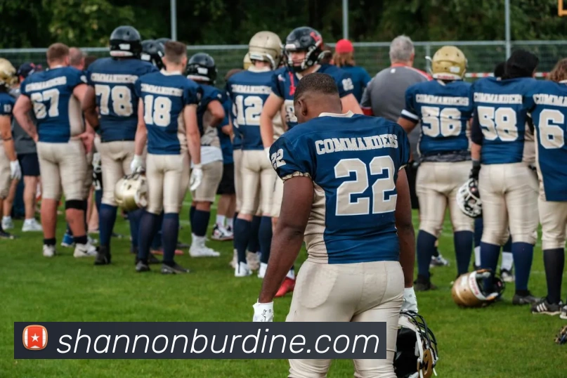 平台展示图